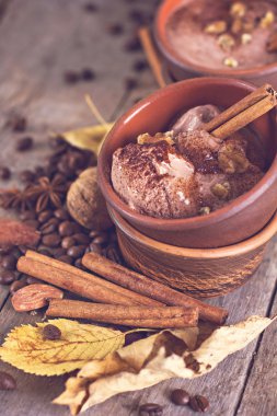 Baharat ile Çikolatalı dondurma 