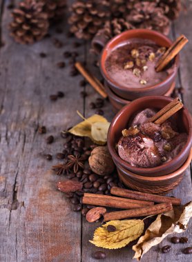 Baharat ile Çikolatalı dondurma 