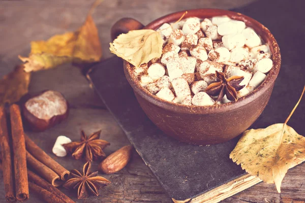 Hot cocoa with marshmallows — Stock Photo, Image