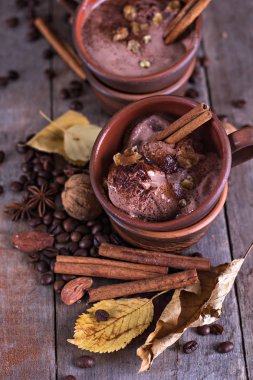 Baharat ile Çikolatalı dondurma 