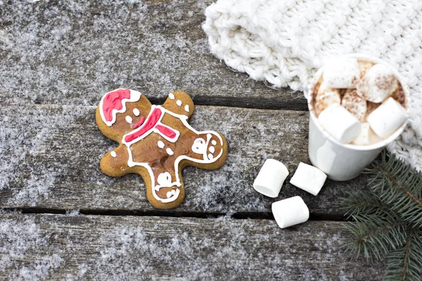 A cup of warm cocoa — Stock Photo, Image