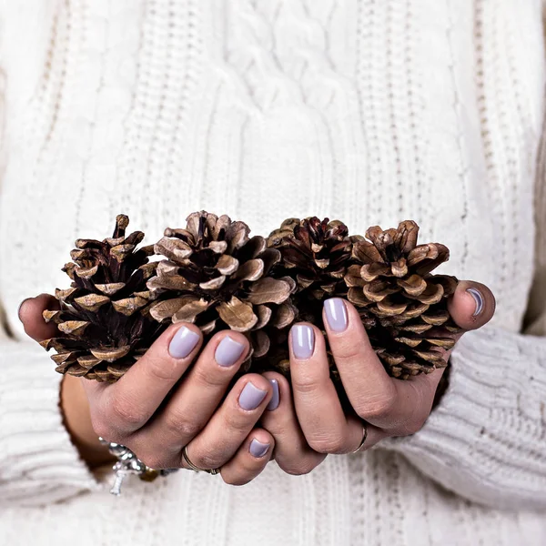 Cones in the hands of women. — Stock Photo, Image