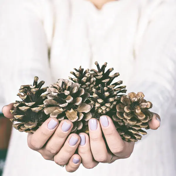 Cones in the hands of women. — Stock Photo, Image