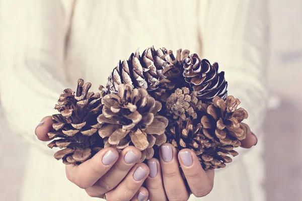 Cones in the hands — Stock Photo, Image