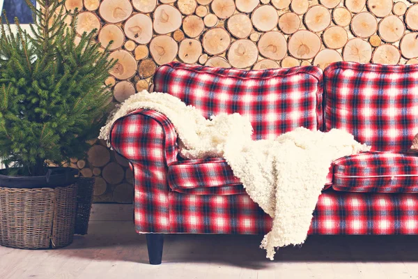 Geruite sofa, plaid, boom, houten muur — Stockfoto