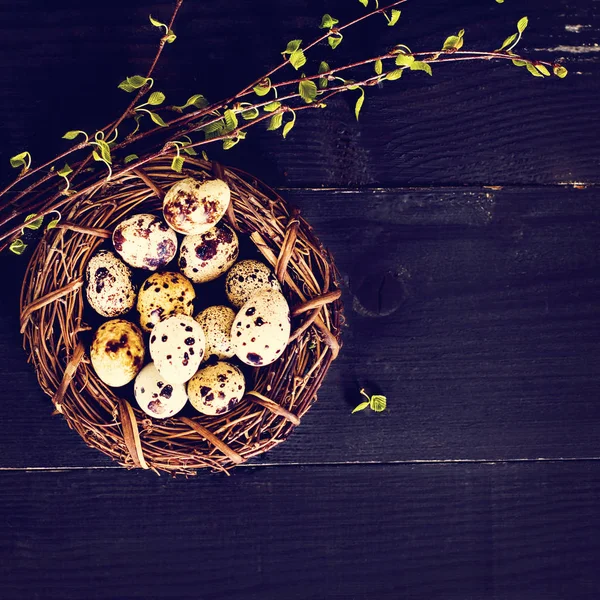 Naturaleza muerta de Pascua. Huevos de Pascua . — Foto de Stock