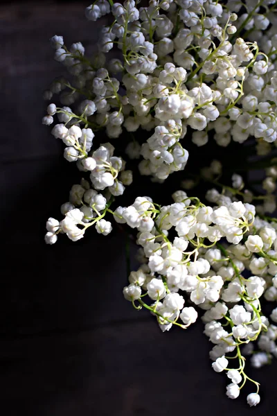 Lilies of the valley on  old wooden boards. — Stock Photo, Image