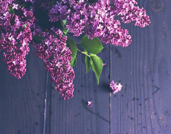 Lila bloemen op een donkere houten achtergrond — Stockfoto