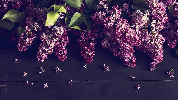 Fleurs lilas sur un fond en bois foncé — Photo