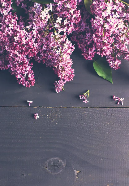 Lila bloemen op een donkere houten achtergrond — Stockfoto