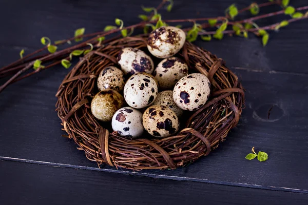 Húsvéti csendélet. Húsvéti tojás — Stock Fotó