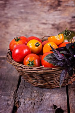 Bir keçi ve mor fesleğen taze domates