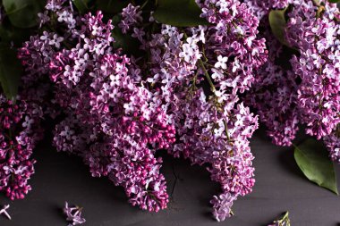 koyu ahşap arka plan üzerinde Eflatun çiçekler