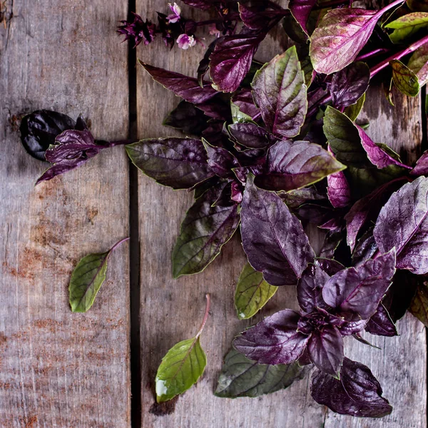 Manjericão roxo em um velho fundo de madeira — Fotografia de Stock