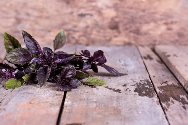 purple basil on an old wooden background