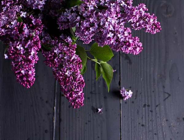 Lila bloemen op een donkere houten achtergrond — Stockfoto