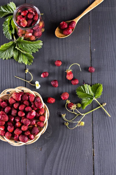 Berries stroberi liar di latar belakang gelap . — Stok Foto