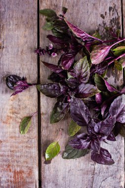 eski bir ahşap zemin üzerine mor fesleğen