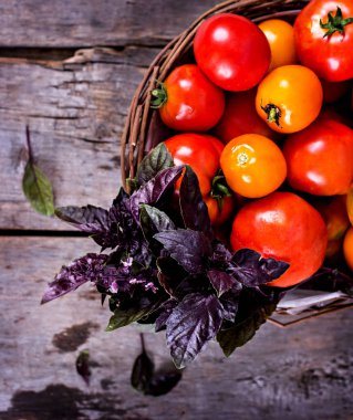 Bir keçi ve mor fesleğen taze domates