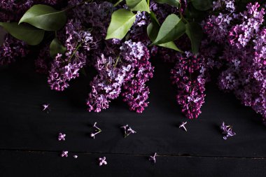 koyu ahşap arka plan üzerinde Eflatun çiçekler