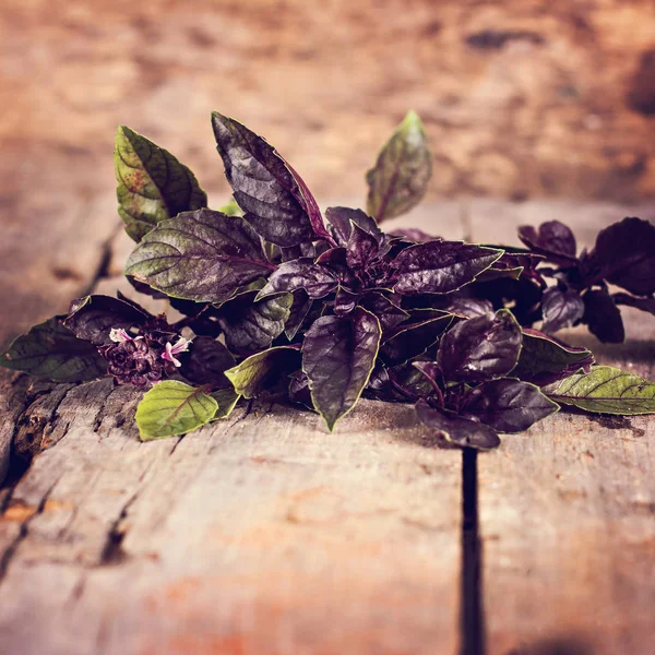 purple basil on an old wooden background
