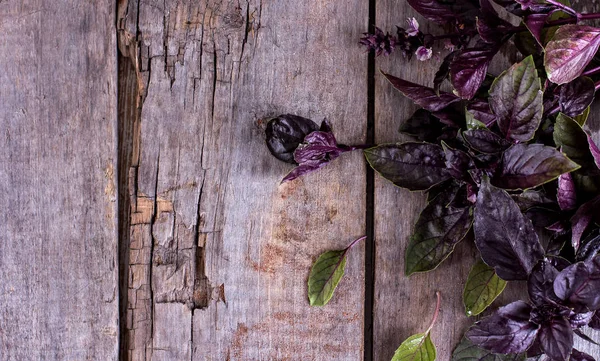Фиолетовый базилик на старом деревянном фоне — стоковое фото
