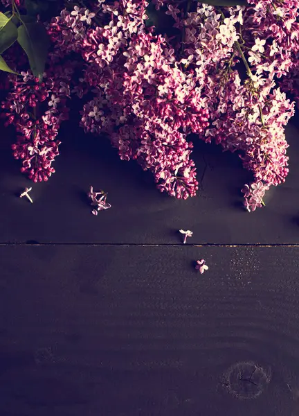 Lila bloemen op een donkere houten achtergrond — Stockfoto