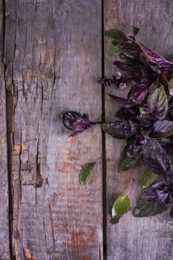 eski bir ahşap zemin üzerine mor fesleğen