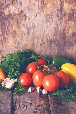 domates, biber, sarımsak, otlar