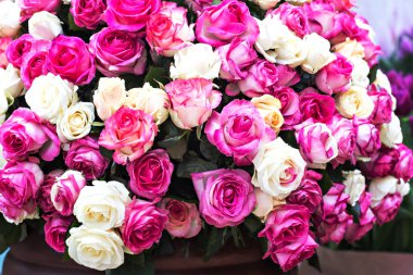 Gül. Büyük bir buket. Desen gül.