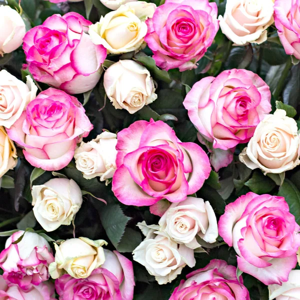 Rosas. Un ramo grande. Patrón de rosas . — Foto de Stock