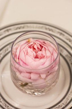 bir bardak pembe Gül