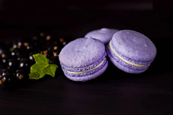 Classic French macaroons on a black background — Stock Photo, Image