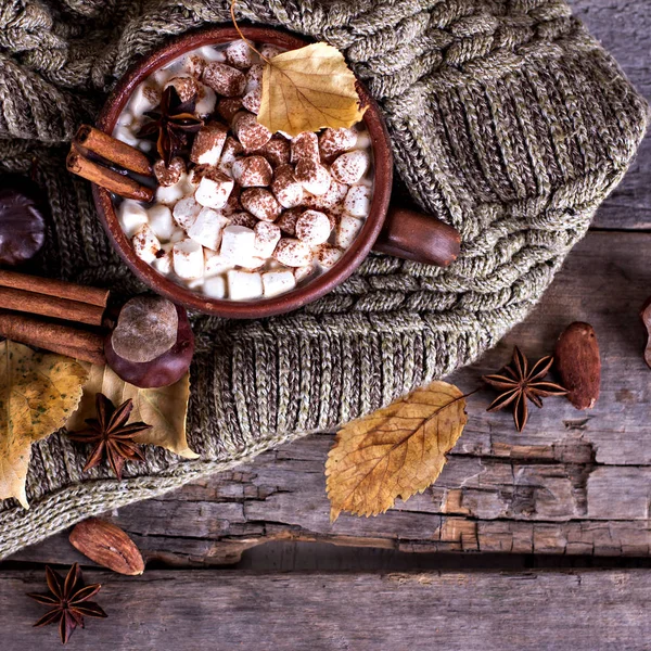 Cocoa with marshmallow — Stock Photo, Image