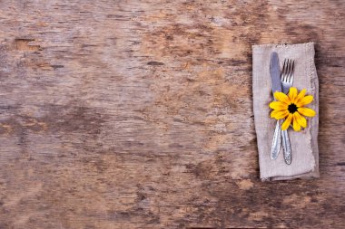 Çatal, bıçak, peçete, çatal bıçak takımı.