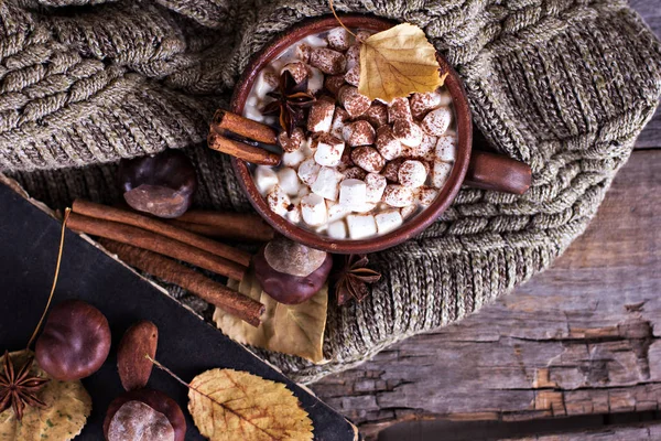 Kakao s marshmallow — Stock fotografie