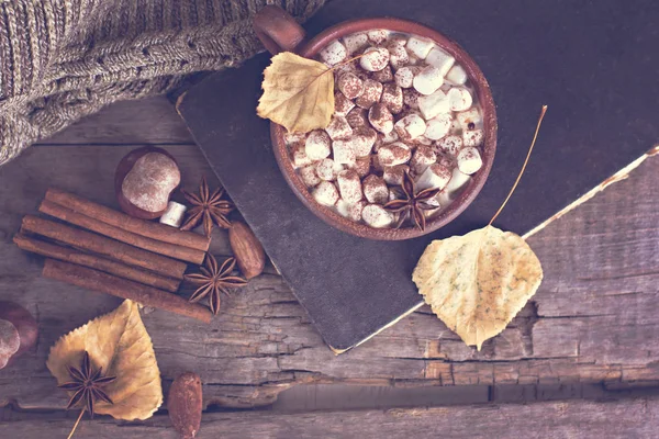 Kakao s marshmallow — Stock fotografie