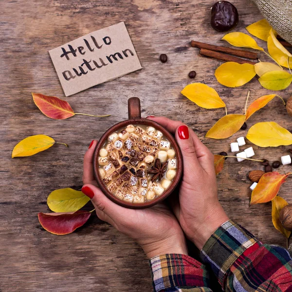 Cacau com marshmallow — Fotografia de Stock