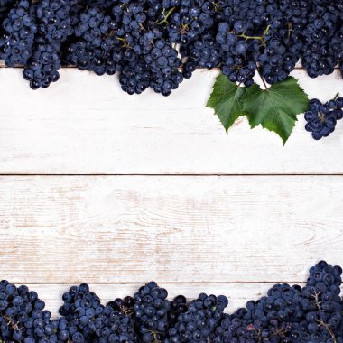 Beyaz eski kurullarında mavi üzüm.