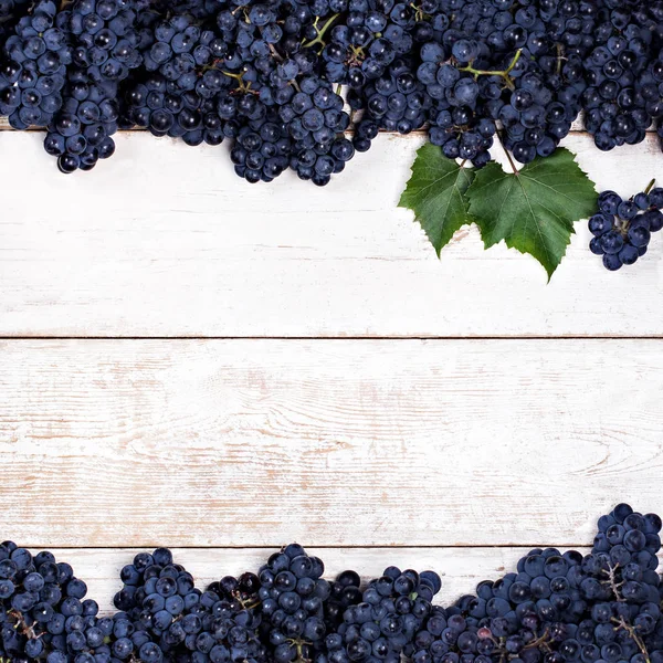 Beyaz eski kurullarında mavi üzüm.