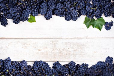 Beyaz eski kurullarında mavi üzüm.