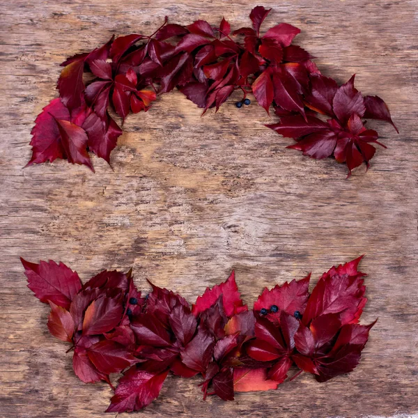 Red autumn leaves on a wooden background. Frame of autumn leaves.