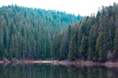 Güzel dağ gölü. Karpatlar gölde. Göl Synevyr.