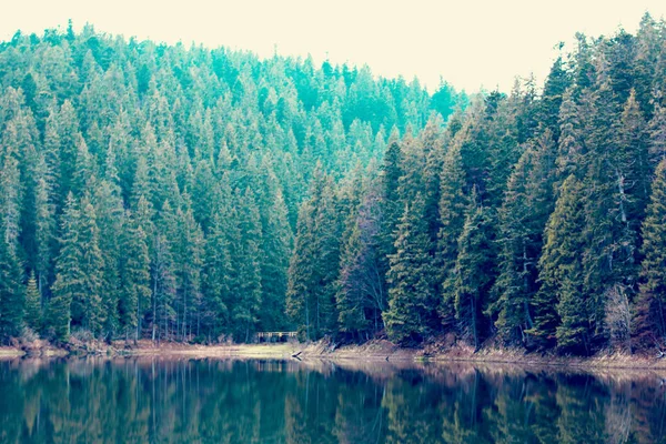 Een prachtig bergmeer. Het meer in de Karpaten. Lake Synevyr. — Stockfoto