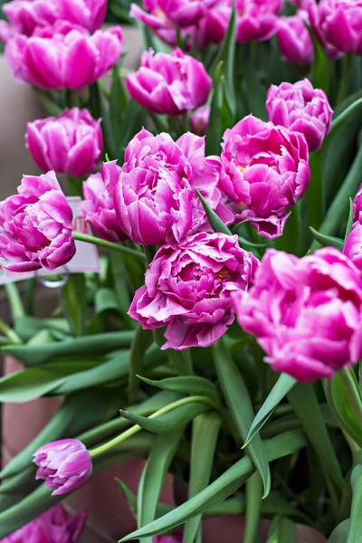 Bukiet Róż Tulipany Sporo Tulipany Wystawie Kwiatów Tulipany — Zdjęcie stockowe