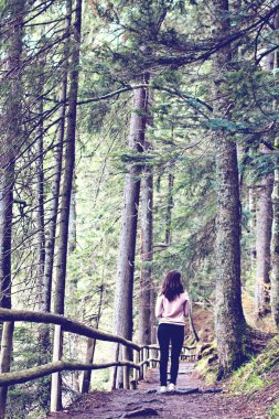 Dağlarda yeşil orman yolundan