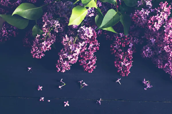 Lila bloemen op een donkere houten achtergrond — Stockfoto