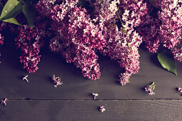 Fleurs lilas sur un fond en bois foncé — Photo
