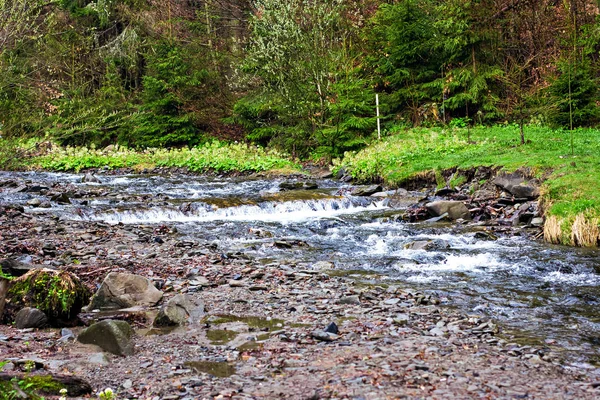 Ein kleiner Wasserfall. Gebirgsfluss in den Karpaten. — Stockfoto