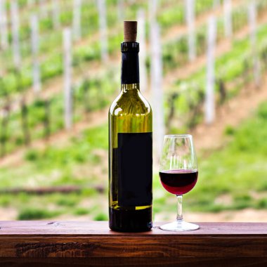 Gözlük ve bir şişe şarap. Üzüm şarap tadımı.